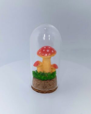 Cápsula hongo Cápsulas Eternas